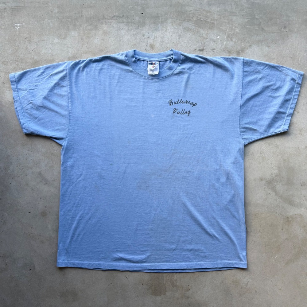 Vintage 1999 Jerzees Buttercup Valley Easter California T-Shirt 2XL Blue Racing
